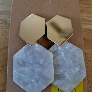 Handcrafted Acrylic Post back Earrings